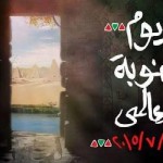 يوم العالمى للنوبة